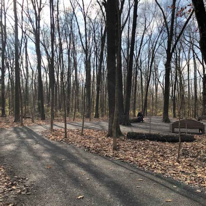 Near Clyde F. Boyles Greenway Trail