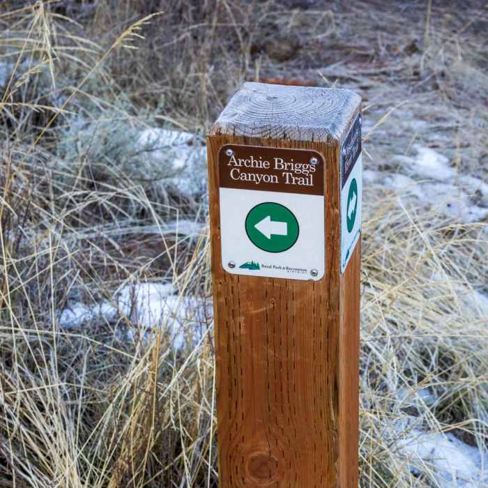 Near Archie Briggs Canyon Trail