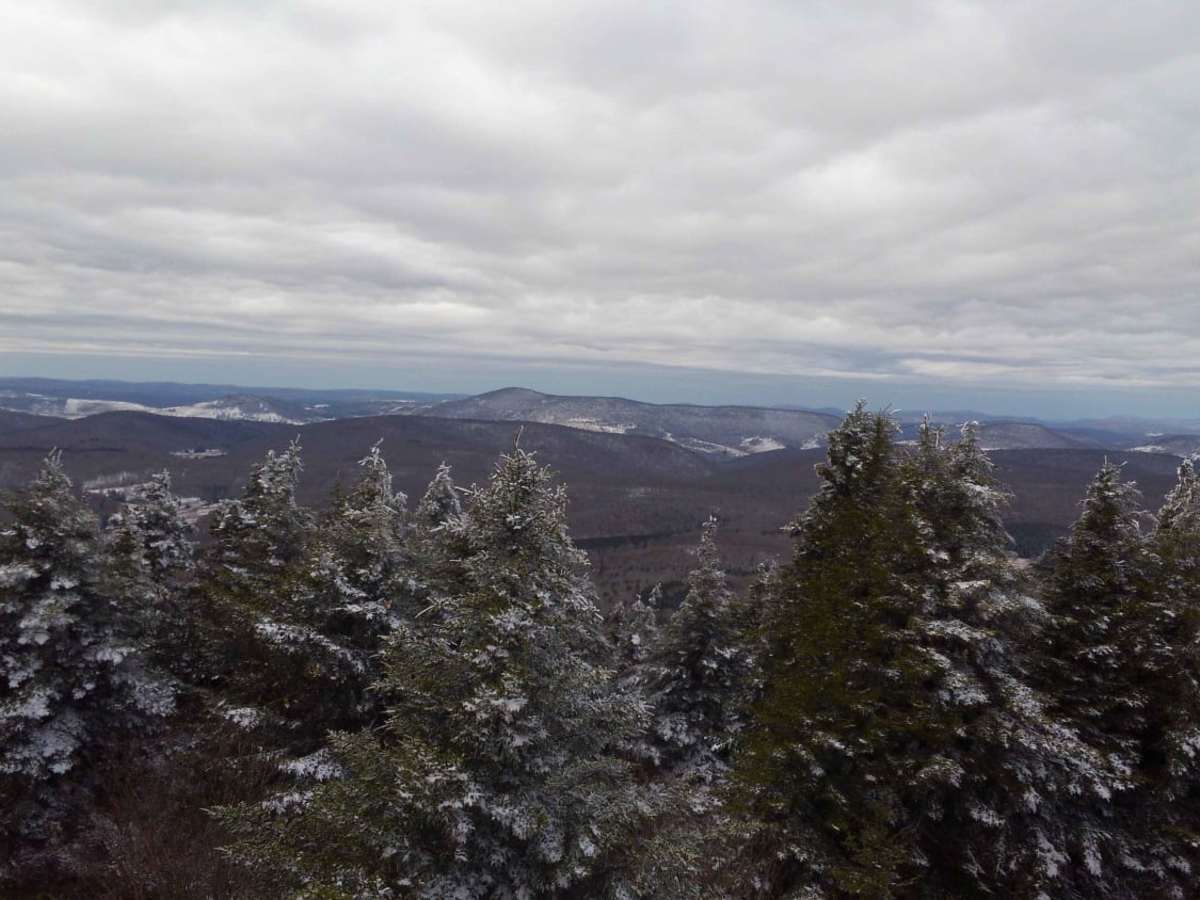 Osceola Spruce Knob photo 3