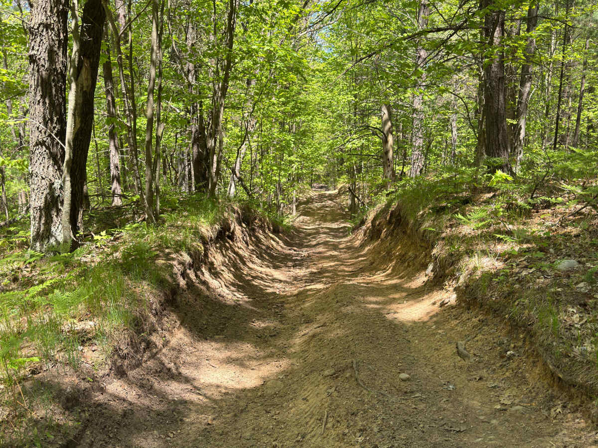 Hippie Circle Trail photo 6