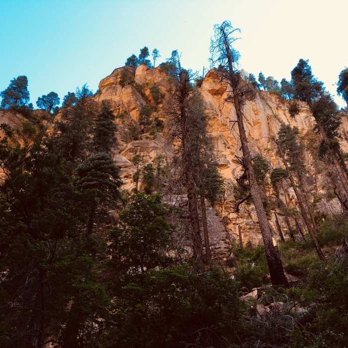 Near West Fork Upper Extension from 231