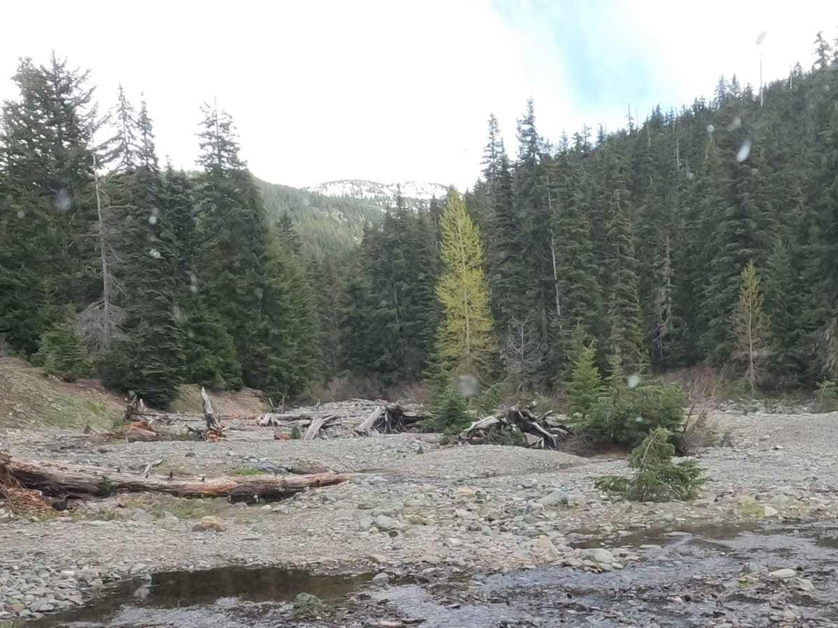 Fortune Creek 4WD Trail - NF301 - Lower Section photo 5