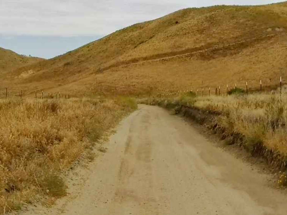 Power Line Road - East photo 3