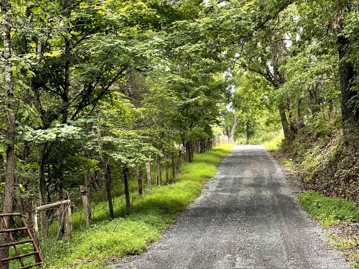 Adair Hill  trail photo
