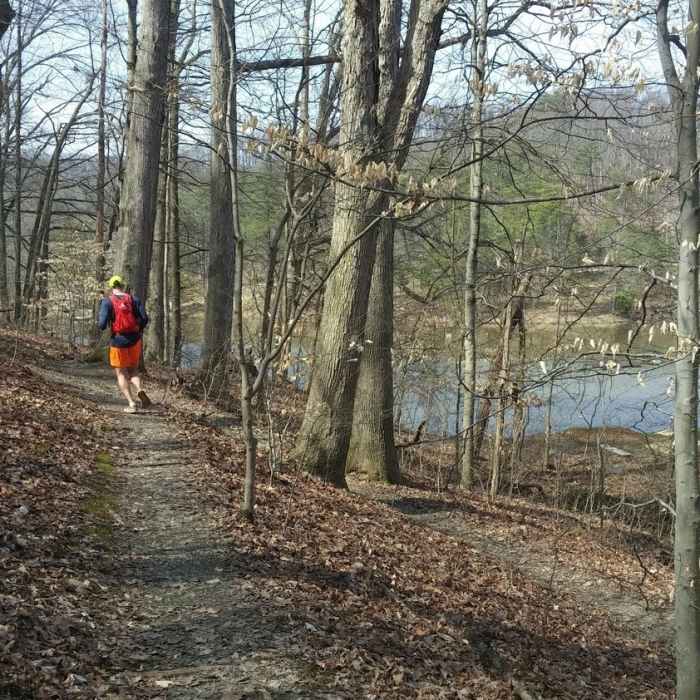 Near Siltstone Trail