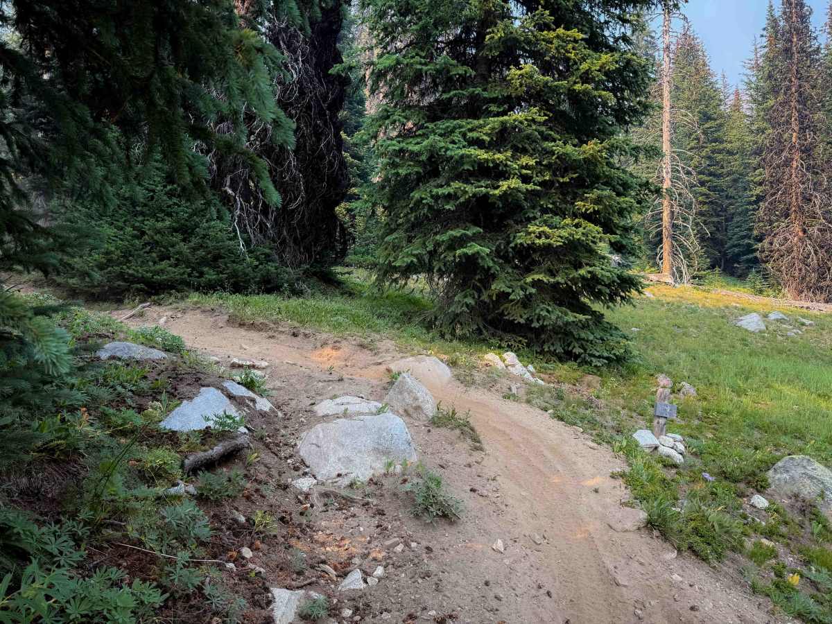 Cub Lake photo 5