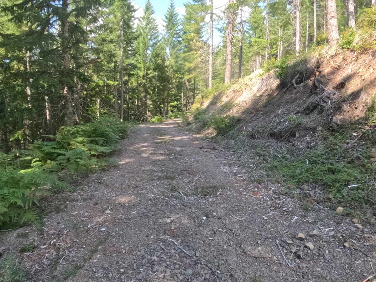 Deer Toe Road - FS 2047770 trail photo