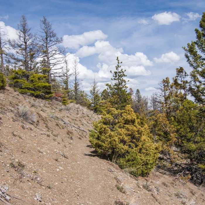 Near Refrigerator Canyon Trail