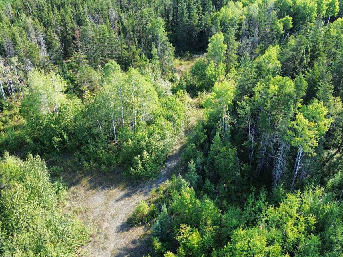 Jeep Mine Road photo 6
