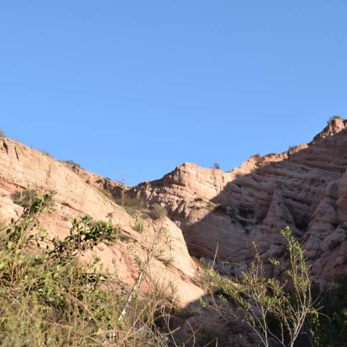 Near Red Rock Canyon Trail
