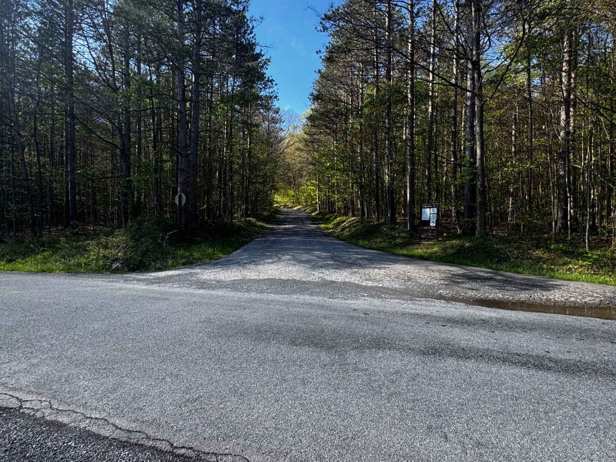 Weiss Grade Road photo 2