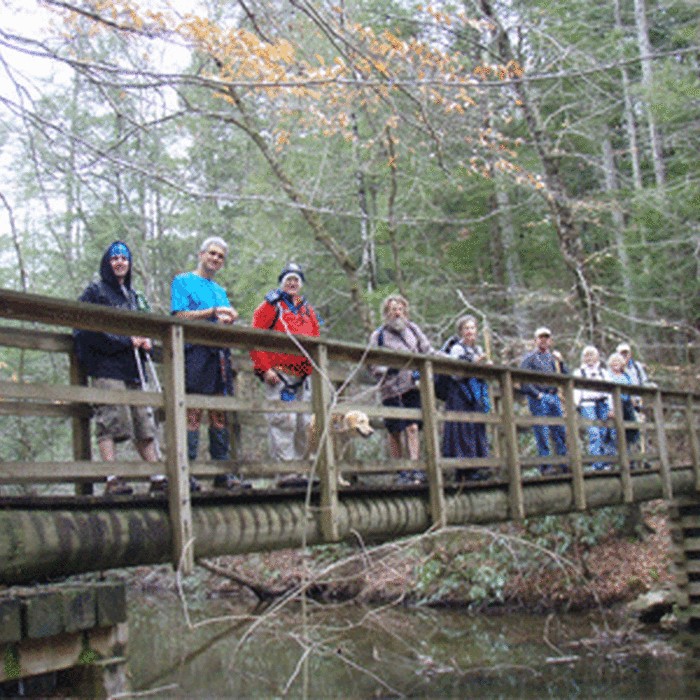 Near Coker Creek Falls Trail