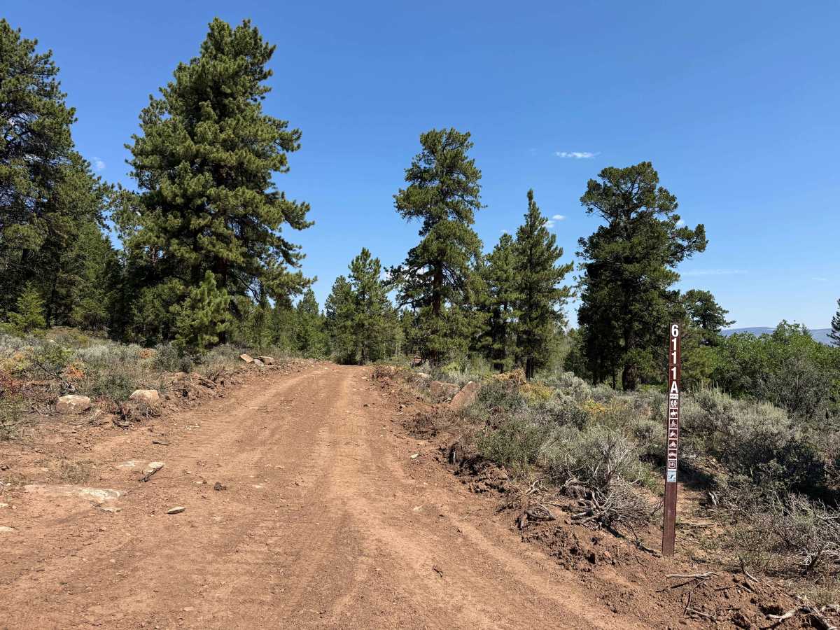 BLM 6111A photo 2