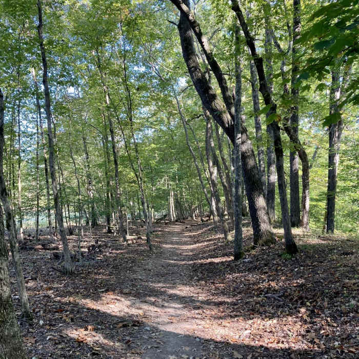 Near Enclosure Trail