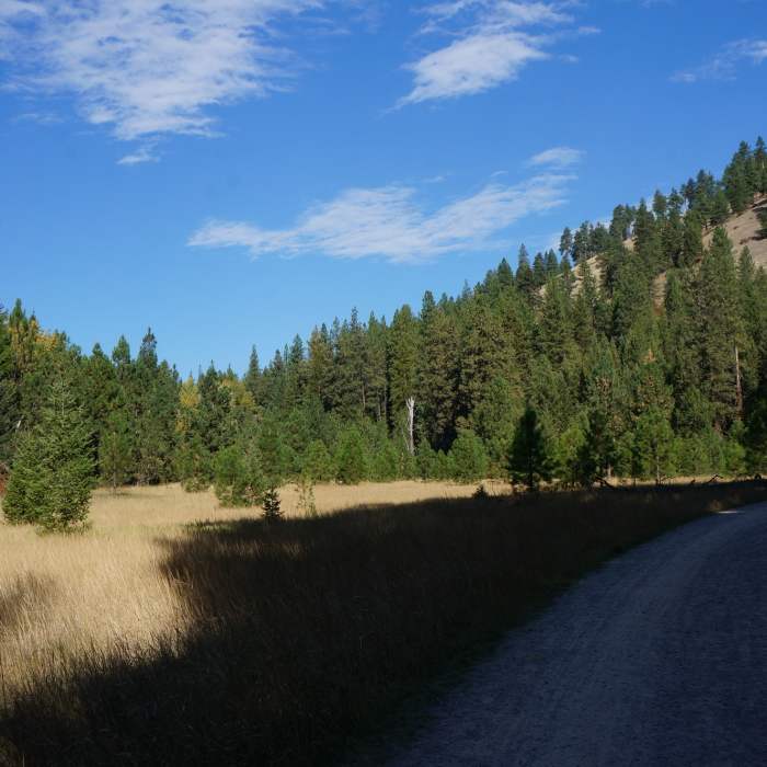 Near Stuart Peak Trail #517