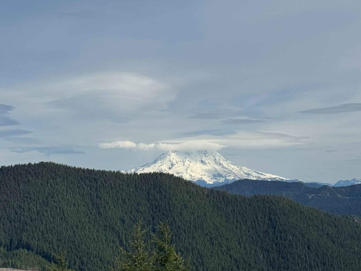Newaukum Road - FS 7100 photo 4