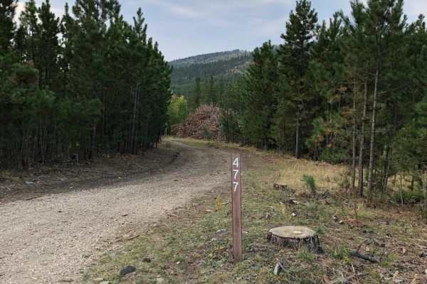 White House Gulch FS RD 477