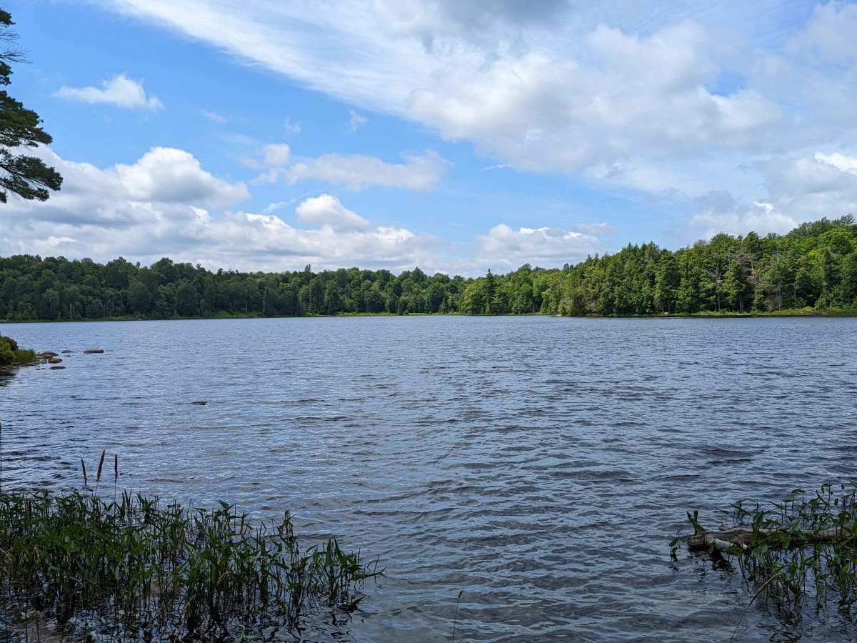 Pleasant Lake Access Road trail photo