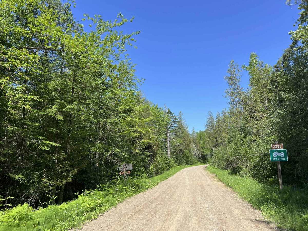 FS 2283 trail photo