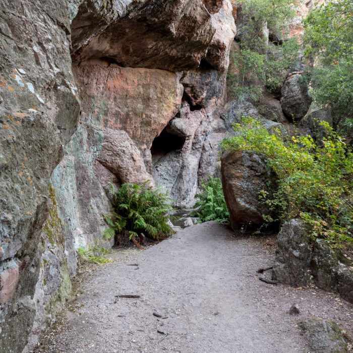 Near Moses Spring Trail Near Moses Spring Trail