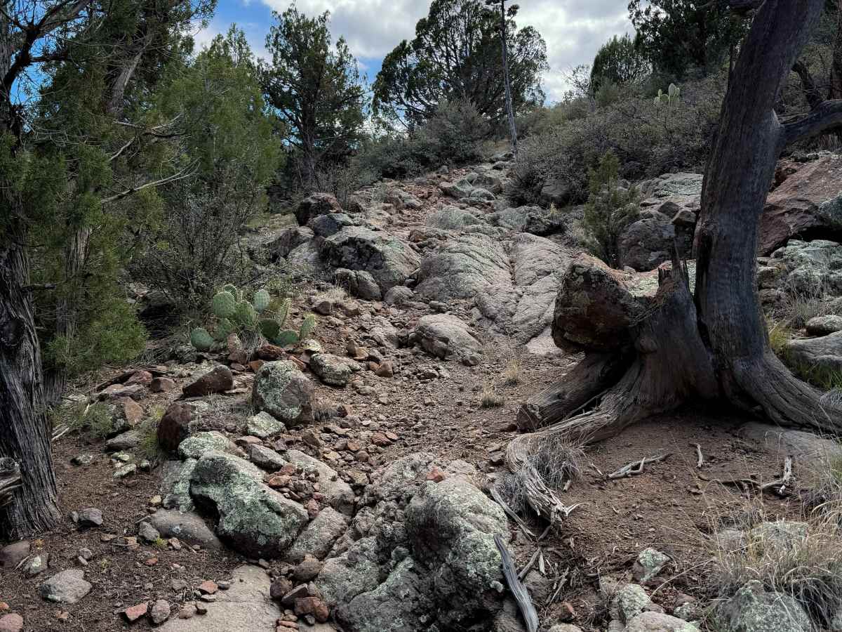 Coldwater Trail #21 (Singletrack)   photo 2