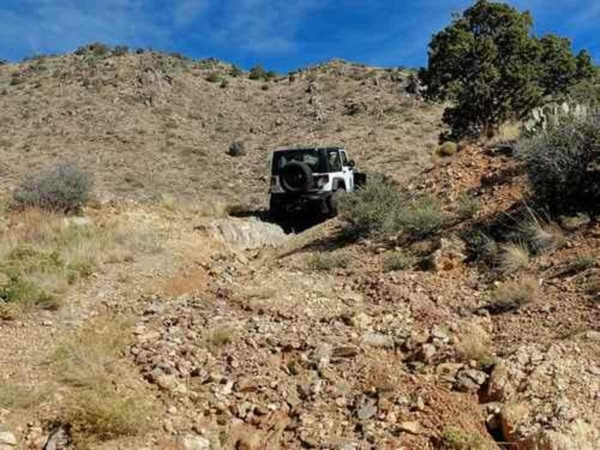 Cerbat Crest trail photo