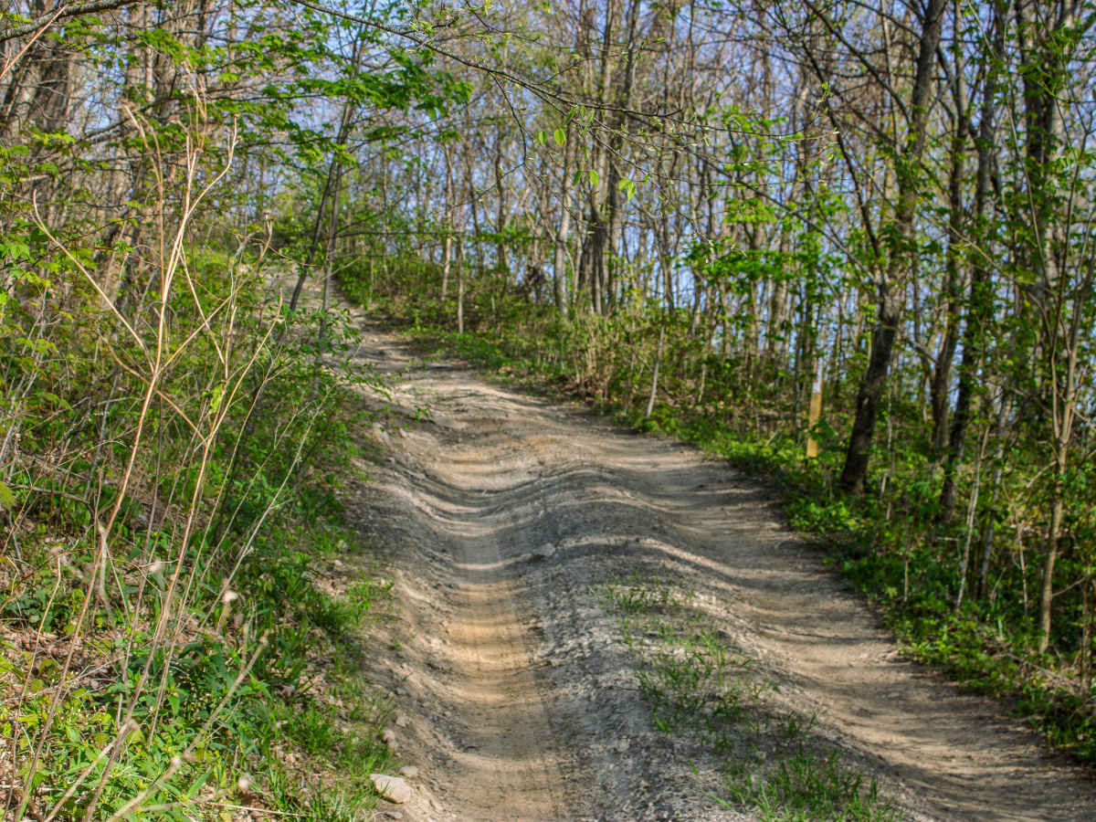 S4  trail photo