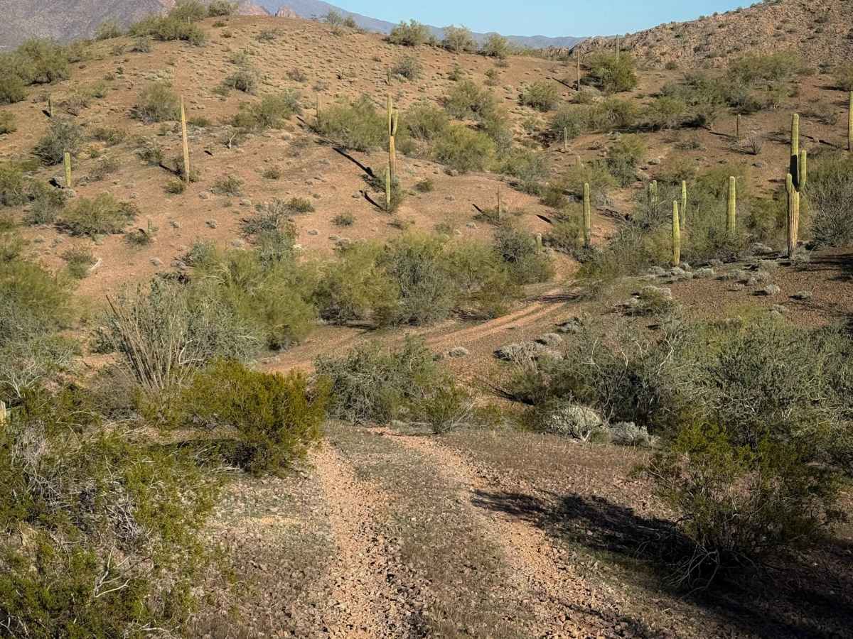 Paloverde Ridge  photo 3