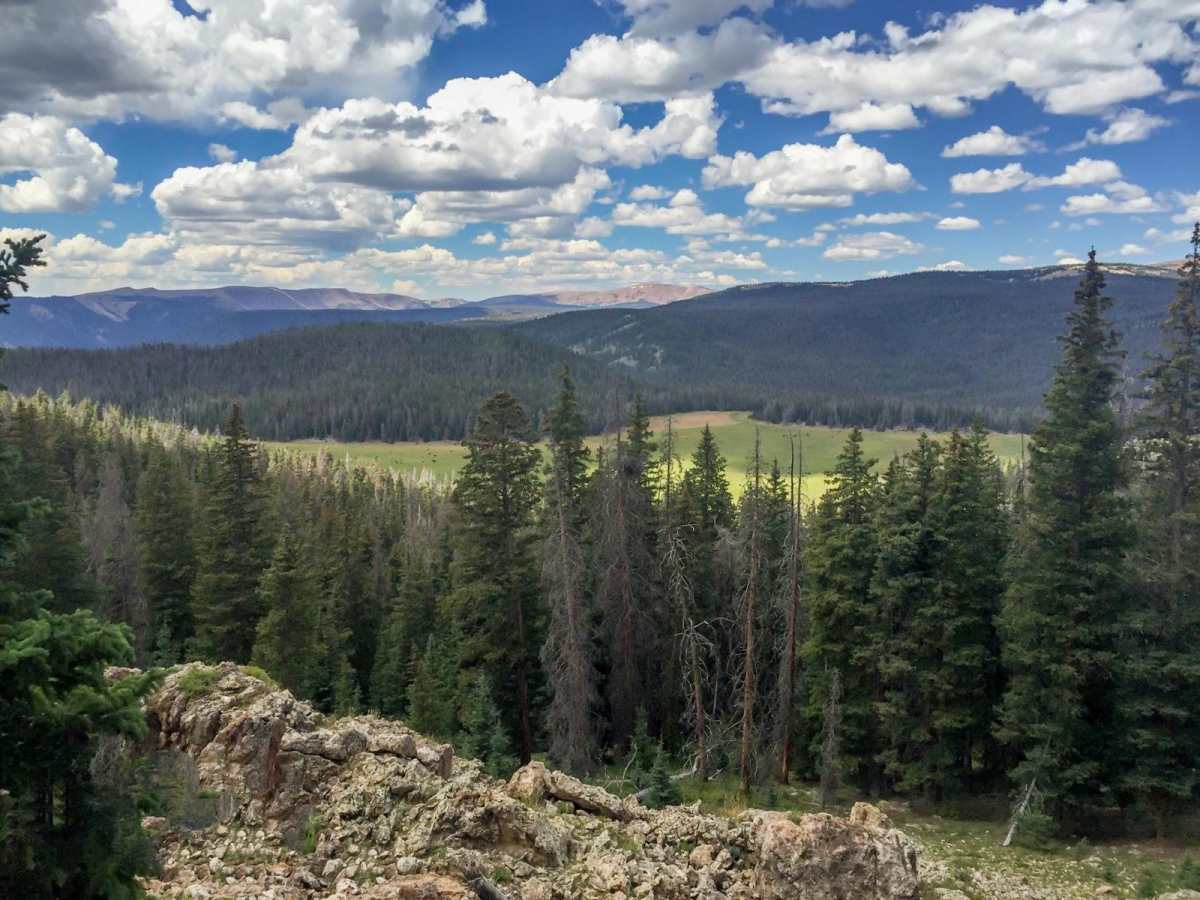 Yellowstone ATV Trail photo 5