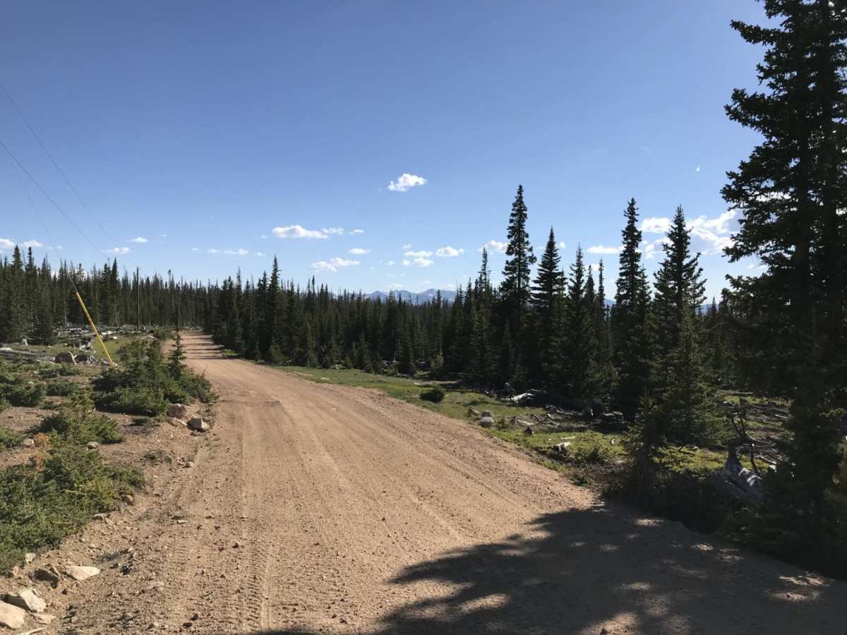 Killpecker Road trail photo
