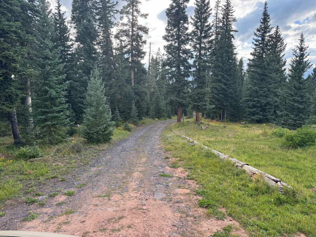 Divide A Road trail photo