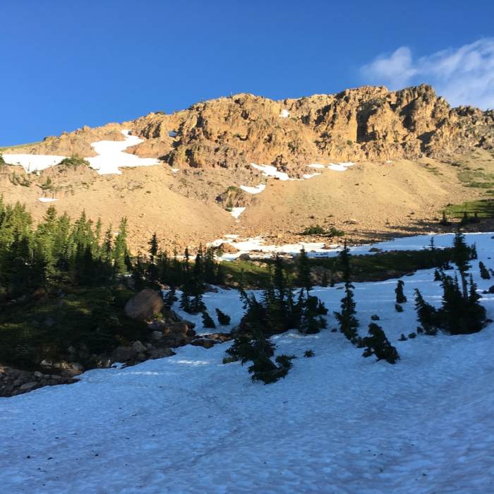 Near Brokeoff Mountain Trail