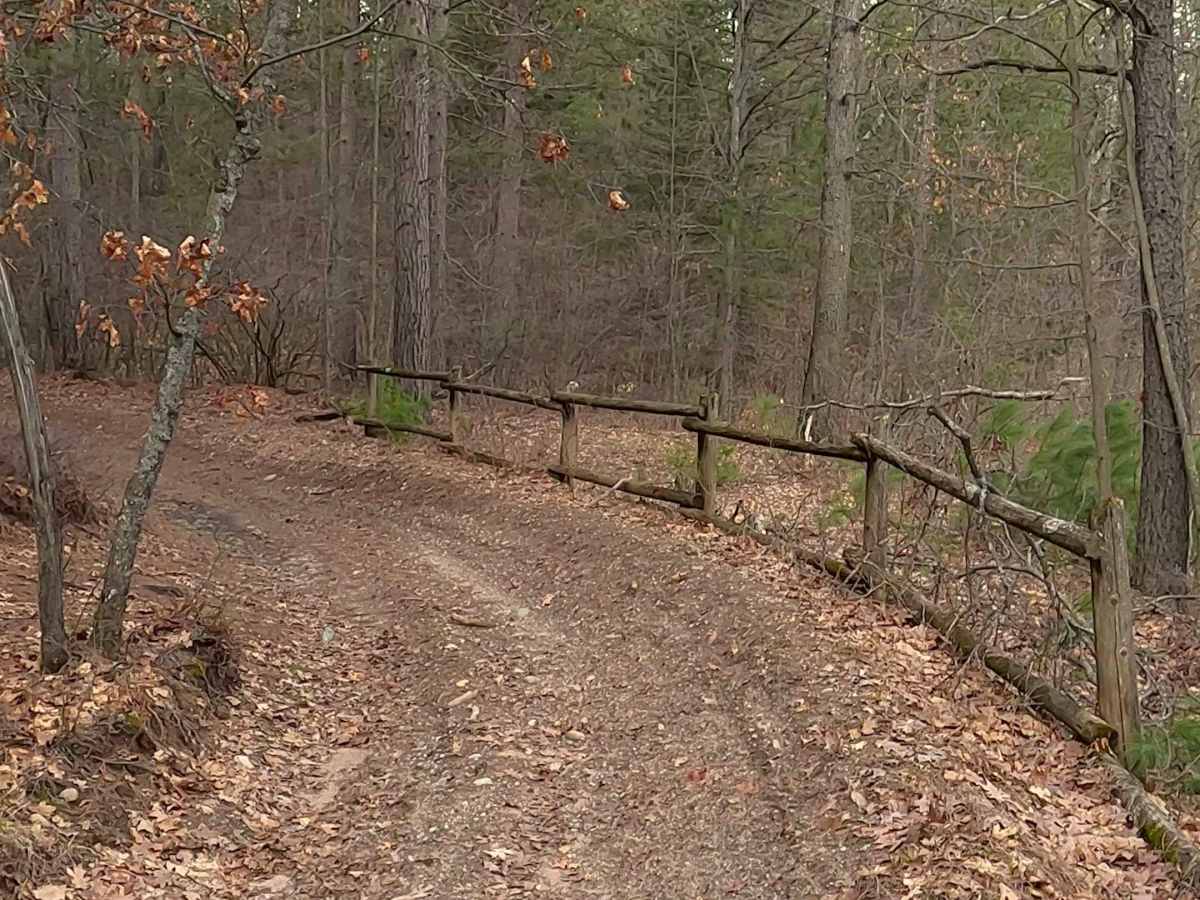 ORV H-57 7 : Mack- Bull Gap Trail photo 5