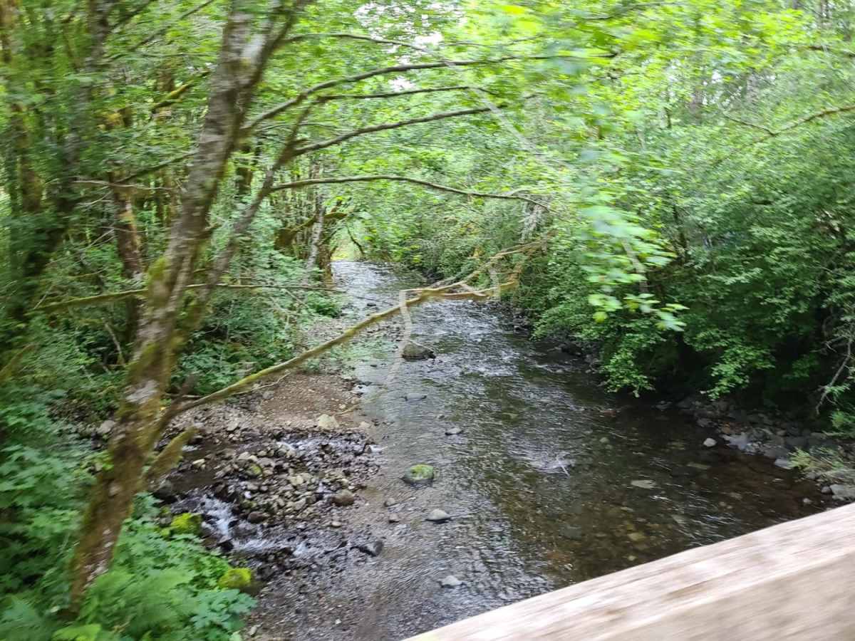Cook Creek Road photo 5