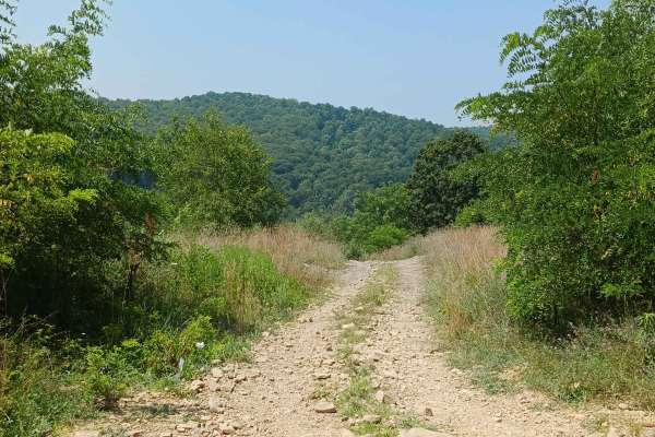 Big Buck Hill - Rock Run Recreation Area