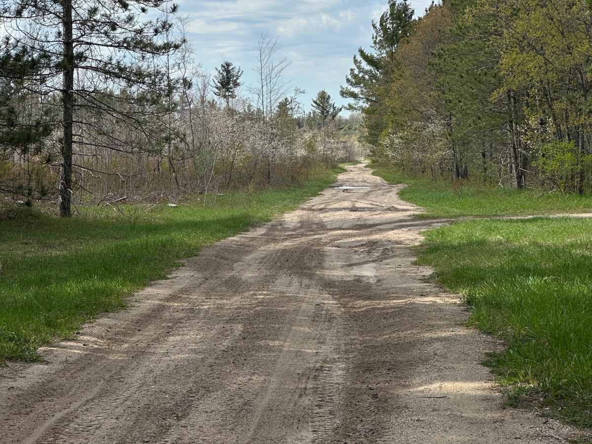 Deadman Cutover  photo 6