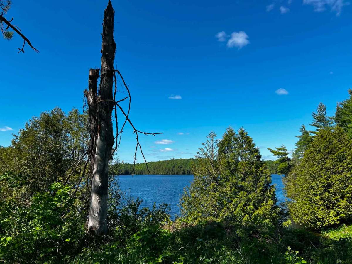 Picard Lake photo 5