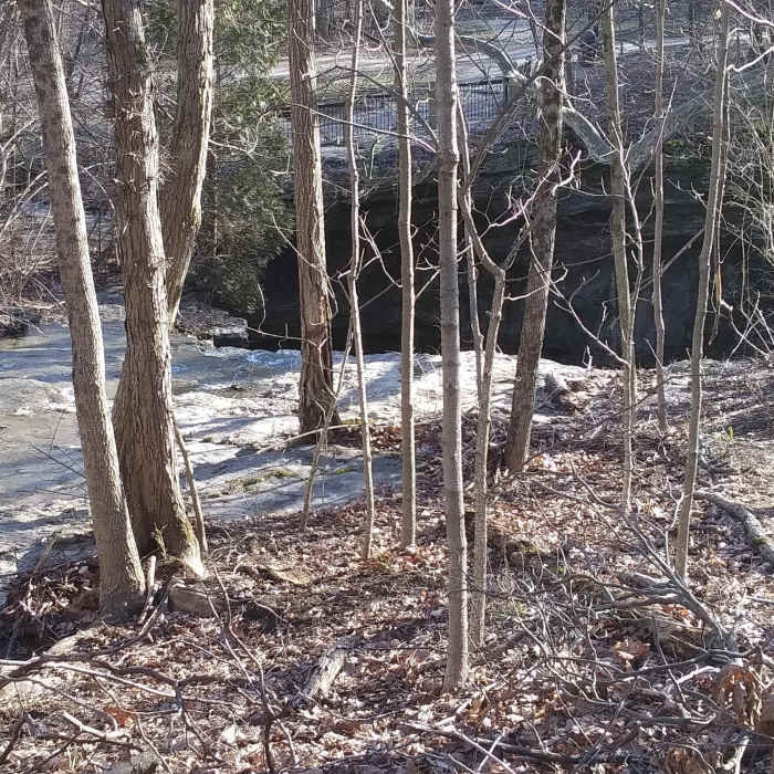 Near Waterfall Overlook Trail