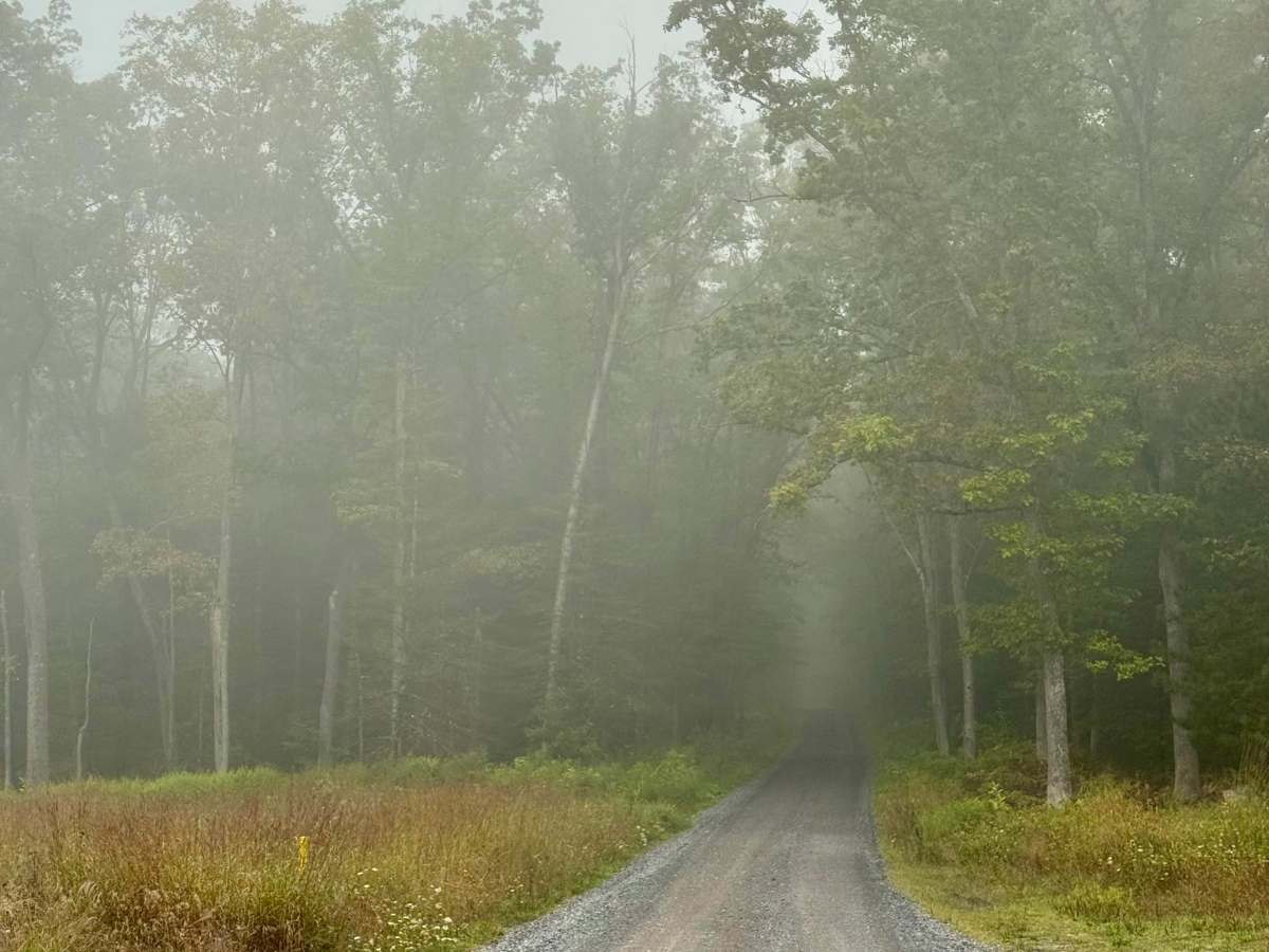 Pfoutz Valley Rd photo 6
