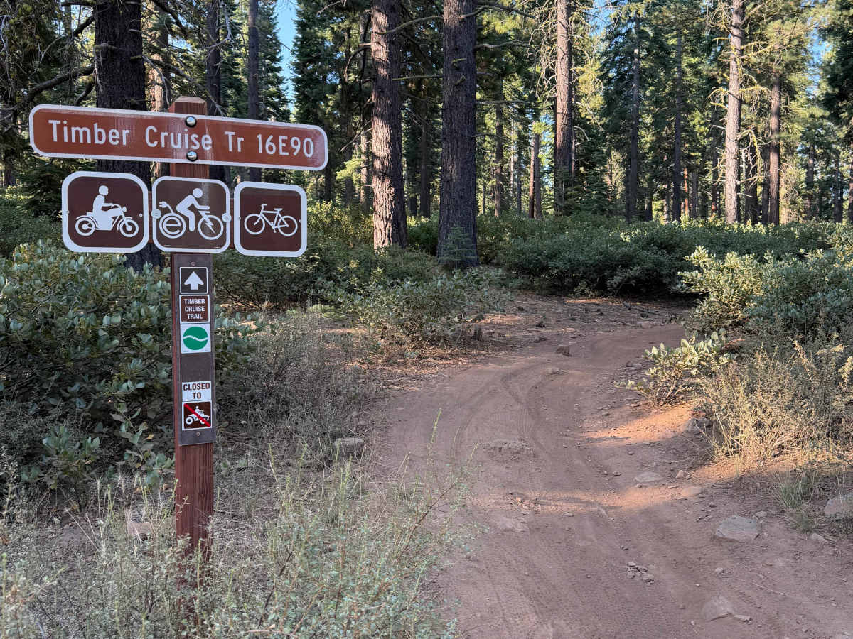 Timber Cruise trail photo