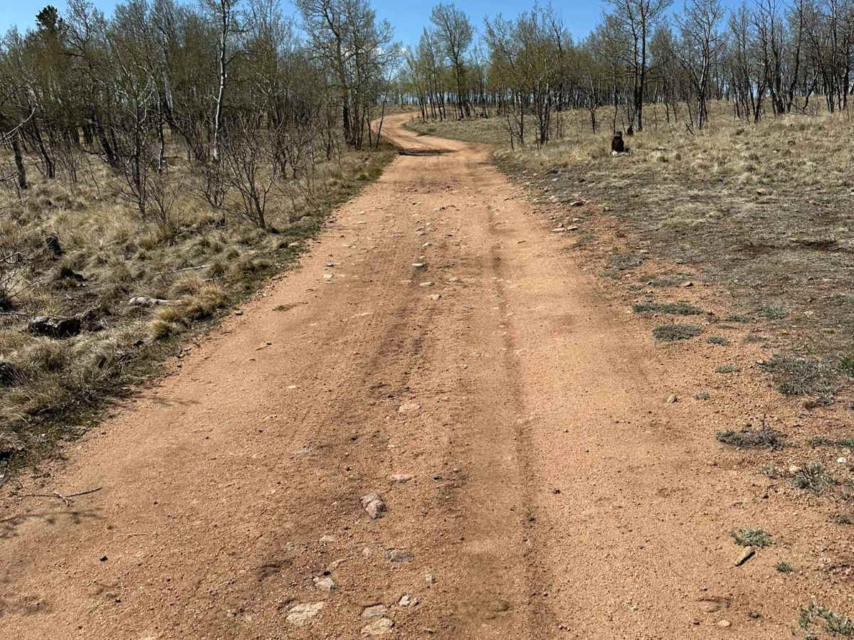 Cross Country Road photo 3