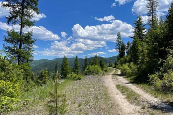 Cedar Run Ridge