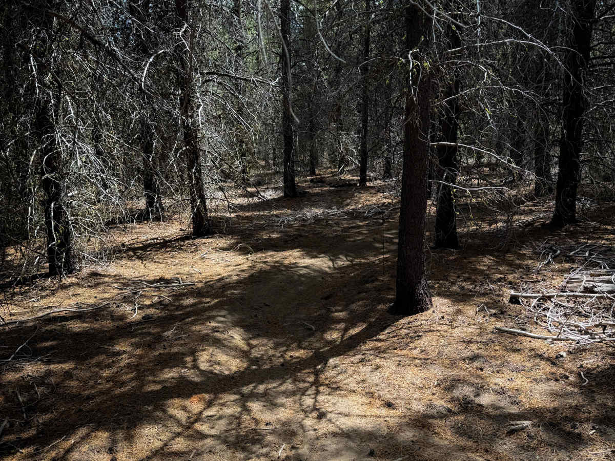 Trail 18  photo 4