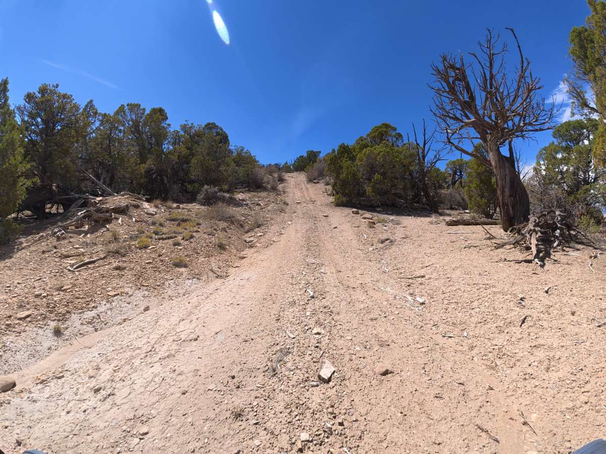 BLM 289 photo 3