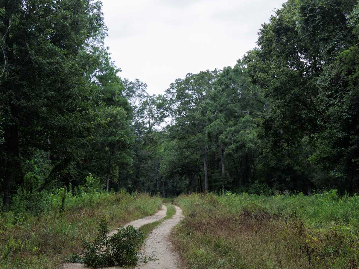 Greenwood Church Road photo 4