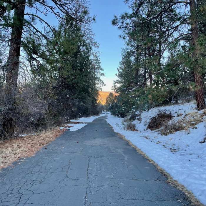 Near Nature Trail Loop