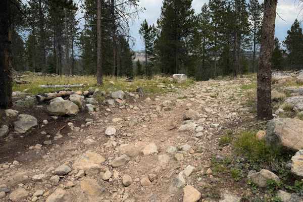 Meadow Park - FS 323