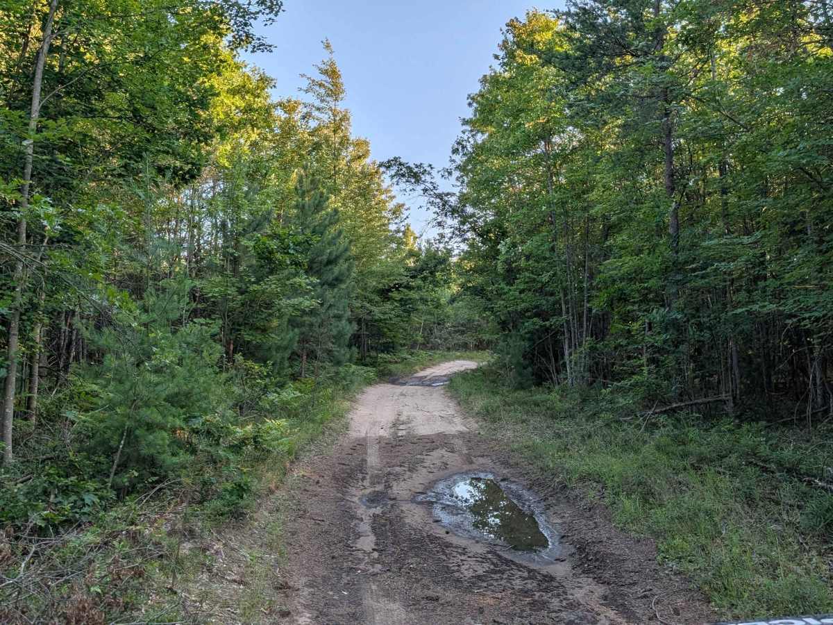 The Flats Trail photo 3