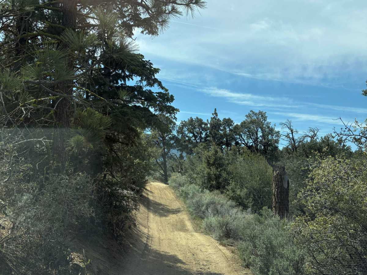 Salt Creek photo 2