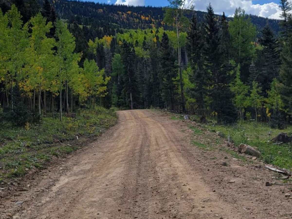 Elk Mountain photo 3